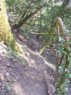 trail along slope