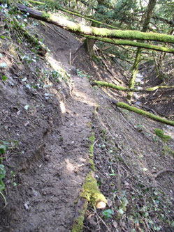 trail along slope