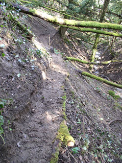 trail along slope