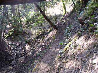 trail along slope