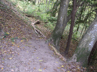 new trail, western corner