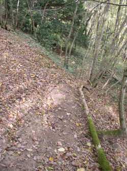 new trail, western corner