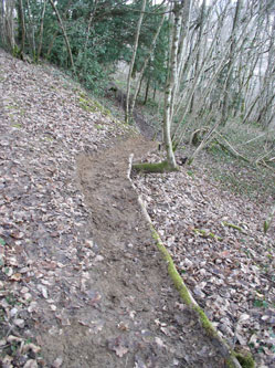 new trail up the slope