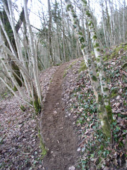 trail up the slope