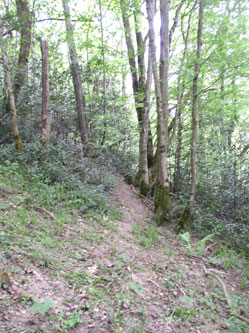 upper trail before starting