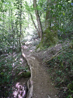 upper trail under construction