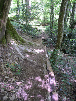 upper trail under construction