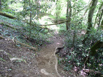 upper trail under construction