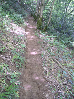 upper trail under construction