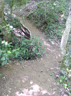 upper trail under construction
