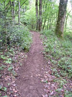 upper trail under construction