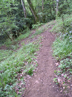 upper trail under construction