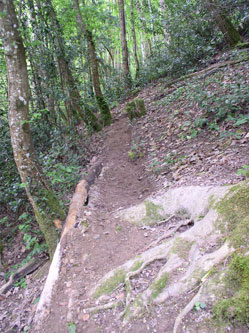 upper trail under construction