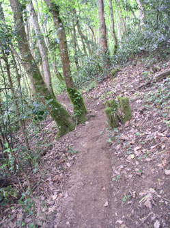 upper trail under construction