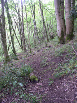 upper trail under construction