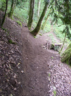 upper trail under construction