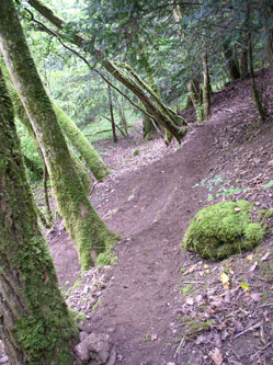 upper trail under construction