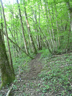 upper trail under construction