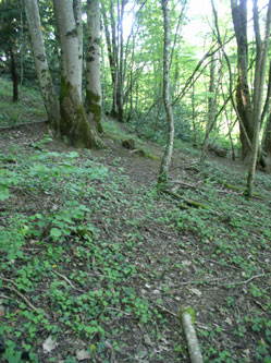 upper trail under construction