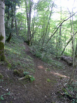 upper trail under construction