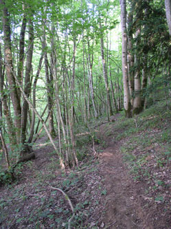 upper trail under construction