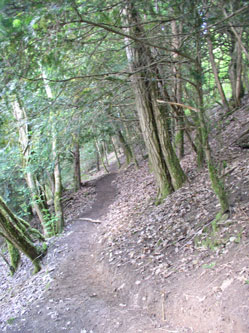 middle trail