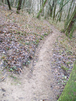 start of new trail