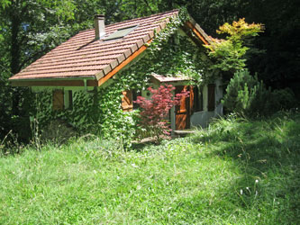 chalet overgrown