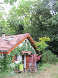 chalet after mowing and pruning