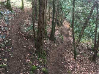rebuilt upper trails