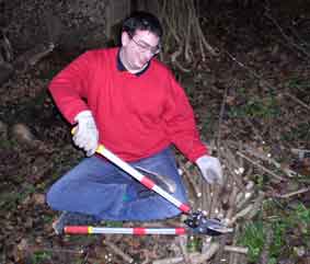 Nabil cutting branches