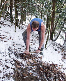 clearing trail