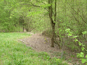 clearing along meadow