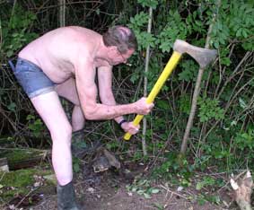 cutting sapling with ax