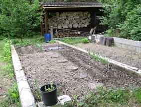 vegetable garden spring 2009