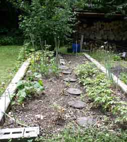 vegetable garden summer 2009