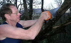 handsaw