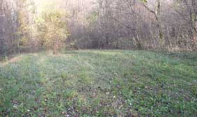 Meadow down from the chalet