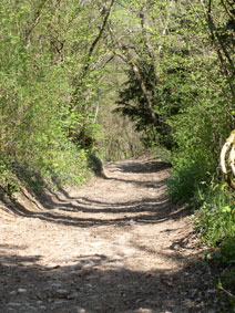 Path down from the chalet