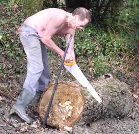 Sawing log