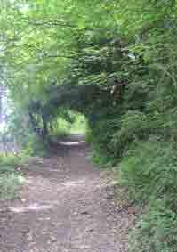 Path up from the chalet