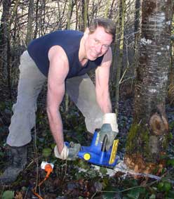 Cutting down tree