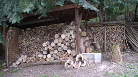 Woodshed 2010