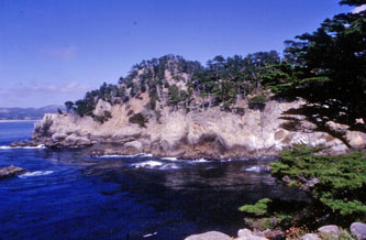 Point Lobos