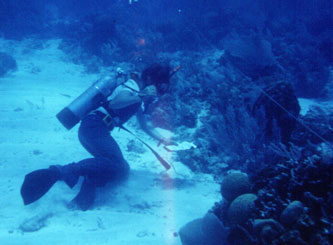 Diving off Carrie Bow Cay, Belize, 1973