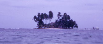 Carrie Bow Cay 1974