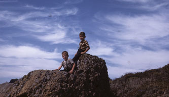 Point Lobos, August 1947