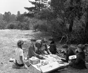 Picnic on Pebble Beach lot, May 1955