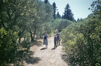 Geyserville Summer School, July 1956