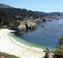 Point Lobos, April 1973